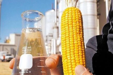 A previso  que a usina dever produzir mais de 1 milho de m de etanol de milho ao ano