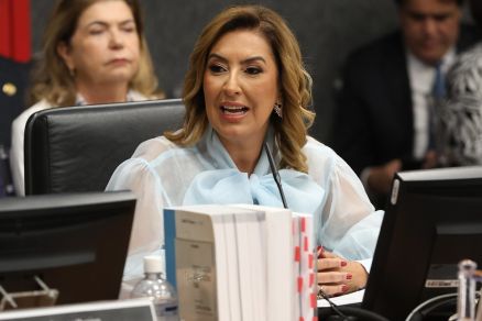A conselheira Renata Gil, que assina a deciso 