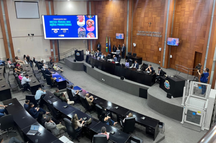 As apresentaes e discusses das Metas Fsicas referentes ao primeiro semestre de 2024 ocorreram nos turnos da manh e tambm  tarde