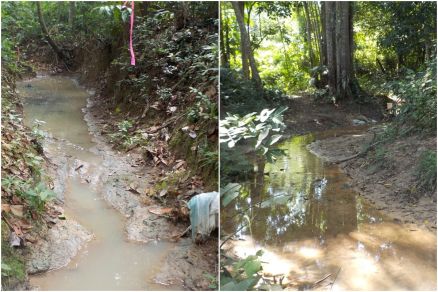 Comparao entre riachos analisados na Amaznia 