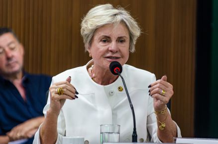 A proposta da senadora Margareth Buzetti aumenta penas para crimes sexuais contra crianas