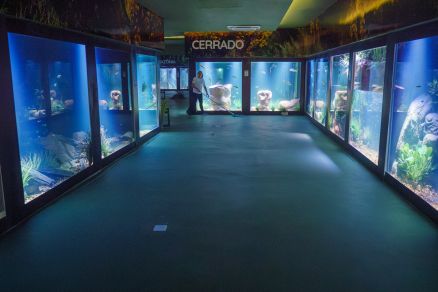 Aqurio Municipal funciona para visitao de segunda a domingo