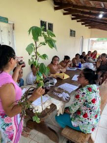 Alunos do programa durante aula do Bioeconomia 