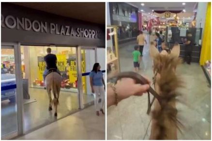 Homem entrou montado em mula em shopping de Rondon�polis