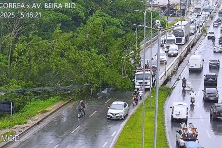 A rvore sobre a pista na Avenida Fernando Corra da Costa, em Cuiab