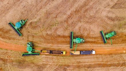 Em Mato Grosso, a produ��o da soja deve ser 17,3% maior do que na safra 2023/2024 