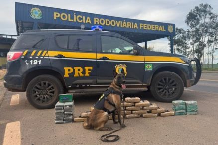 A droga apreendida no �ltimo dia 14 na BR-364