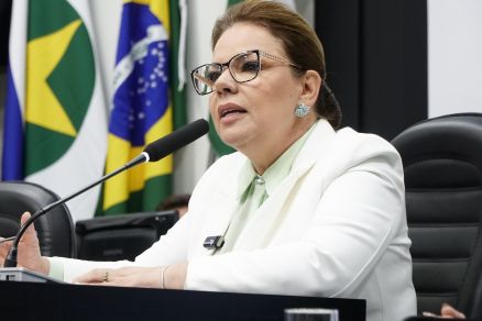 A presidente da Cmara Municipal, vereadora Paula Calil (PL)
