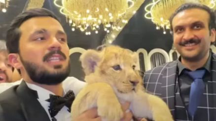 Rajab Butt com o filhote de le�o no casamento
