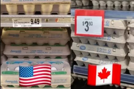 Consumidora americana compara preo da dzia de ovos nos EUA ( US$ 9,49, ou R$ 54,6) e no Canad