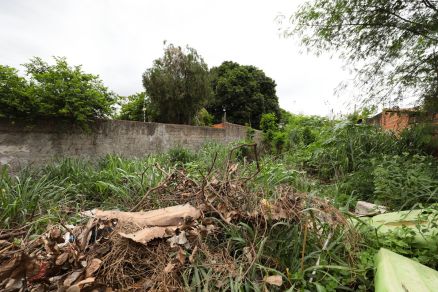 Fiscalizao em Cuiab quer acabar com criadores da mosquito da dengue
