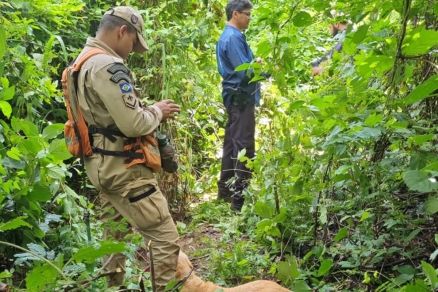 Polcia encontra cemitrio clandestino em Rondonpolis 