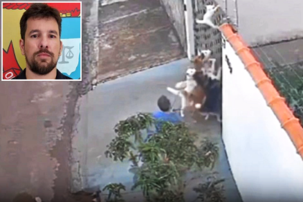 O delegado Ronaldo Binoti Filho (detalhe) respons�vel pela investiga��o do caso do ataque ao gato em Ju�na