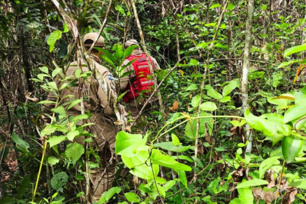Corpo de Bombeiros segue na busca para encontrar criana indgena que desapareceu em Paranatinga