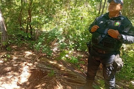 Local onde ossadas foram encontradas em Vrzea Grande 