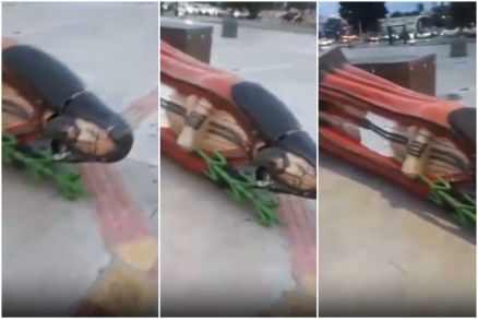 A imagem do Senhor do Bom Jesus ca�da na Orla do Porto II  