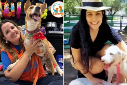 rica Faria, responsvel pela Corrijo, acusa Letcia Sabatella de maus-tratos aos ces Bertoldo e Beb 