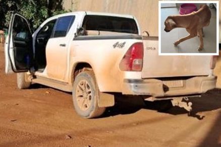 caminhonete Toyota Hilux utilizada para realizar o transportes dos animais (em detalhe)