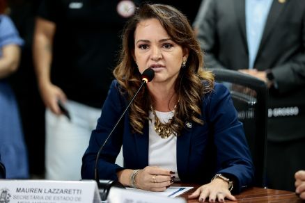 A secretria estadual do Meio Ambiente, Mauren Lazzaretti, criticou o Ministrio Pblico do Estado