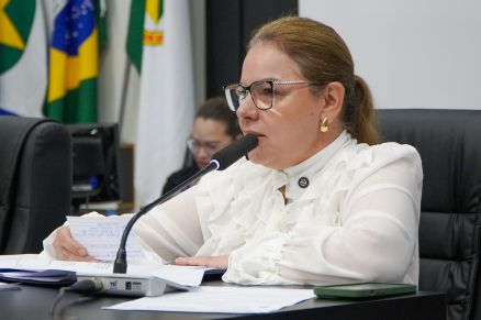 A presidente da Casa, vereadora Paula Calil, que apresentou uma Emenda Modificativa 
