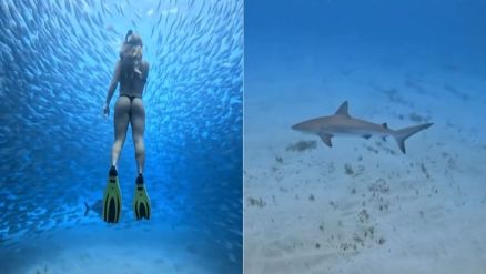 Bruna Griphao nadou com cardumes em Fernando de Noronha 