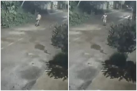 Criminoso tentou se esconder em mata; ele no foi localizado ainda