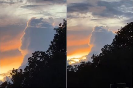 A imagem compartilhada pela influenciadora Renata F�lix