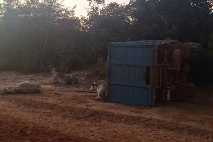 Veculo que tombou na rodovia MT-170, em Brasenorte