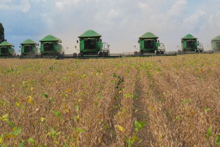 Nesta safra, a estimativa  de que Mato Grosso colha 50,89 milhes de toneladas de soja