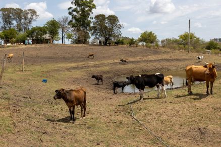 Area de regi�o afetada pela estiagem no Rio Grande do Sul
