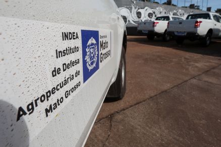 Indea descartou contaminao de gripe aviaria em Cuiab 