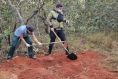 Corpo de jovem  encontrado com ps e mos amarrados; vdeo 