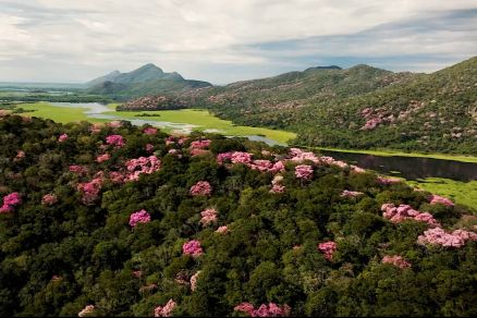 Registro de Jos Medeiros no Pantanal aps longo perodo de estiagem 