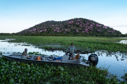 Pantanal 
