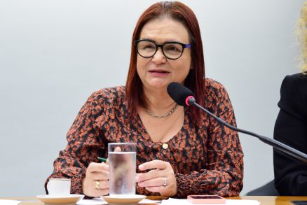 A ex-deputada federal Rosa Neide: 