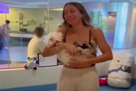 Dona de Sugar abraa cachorrinha aps quatro anos sem notcias 
