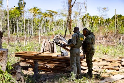 Agentes da Sema durante uma das operaes contra crimes ambientais