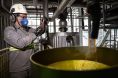  Cuiab est entre as capitais com maior proporo de empregos verdes do Brasil