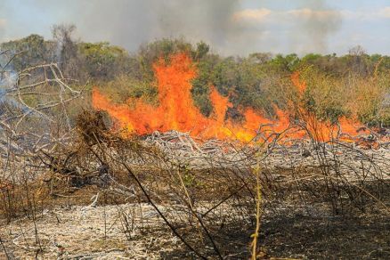 Incndio de grandes propores provocado por suspeito em fazenda 