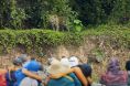 Pantanal; assista