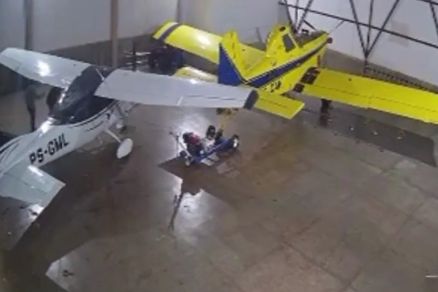 Avies que estavam em propriedade rural durante invaso 