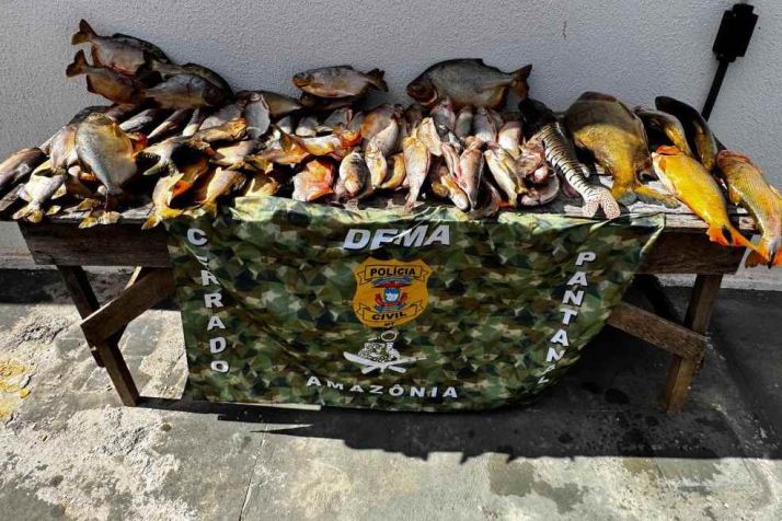  Apreenso de pescado pela Dema sobe 570% no 1 semestre 