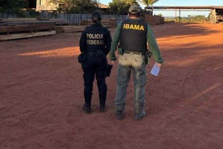 Participaram da operao policiais federais, servidores do Ibama e da Funai