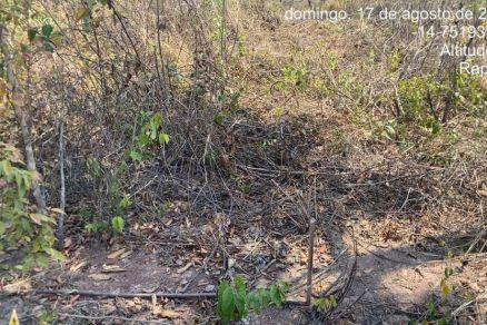 rea desmatada pertencente a reserva ambiental 