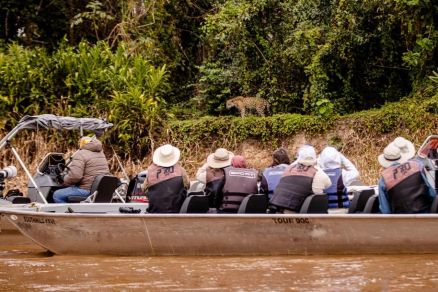 Turistas observando ona-pintada em Mato Grosso