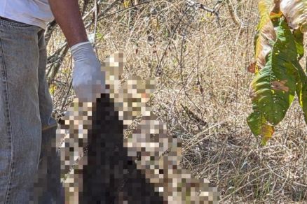 Agentes da Politec e Polcia durante analise de local em Jaciara