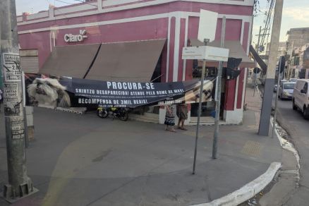 Cartaz de recompensa da cadela Mavi foi colocado em calada do Centro de Cuiab