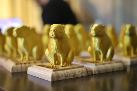 Prmio Capivara Dourada entra em sua terceira edio e inscries esto abertas