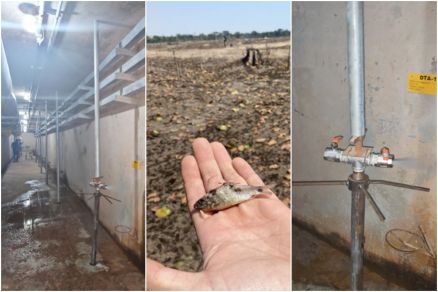 Foram citadas falhas cr�ticas no sistema de drenagem da barragem, peixes mortos e presen�a de vegeta��o irregular