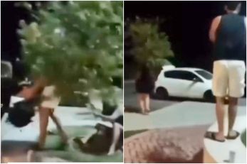 Jovens arrancam rvore de avenida em Cuiab e geram revolta
